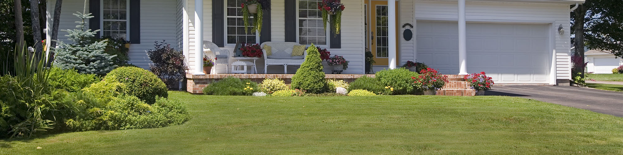 Fresh Mowed Lawn